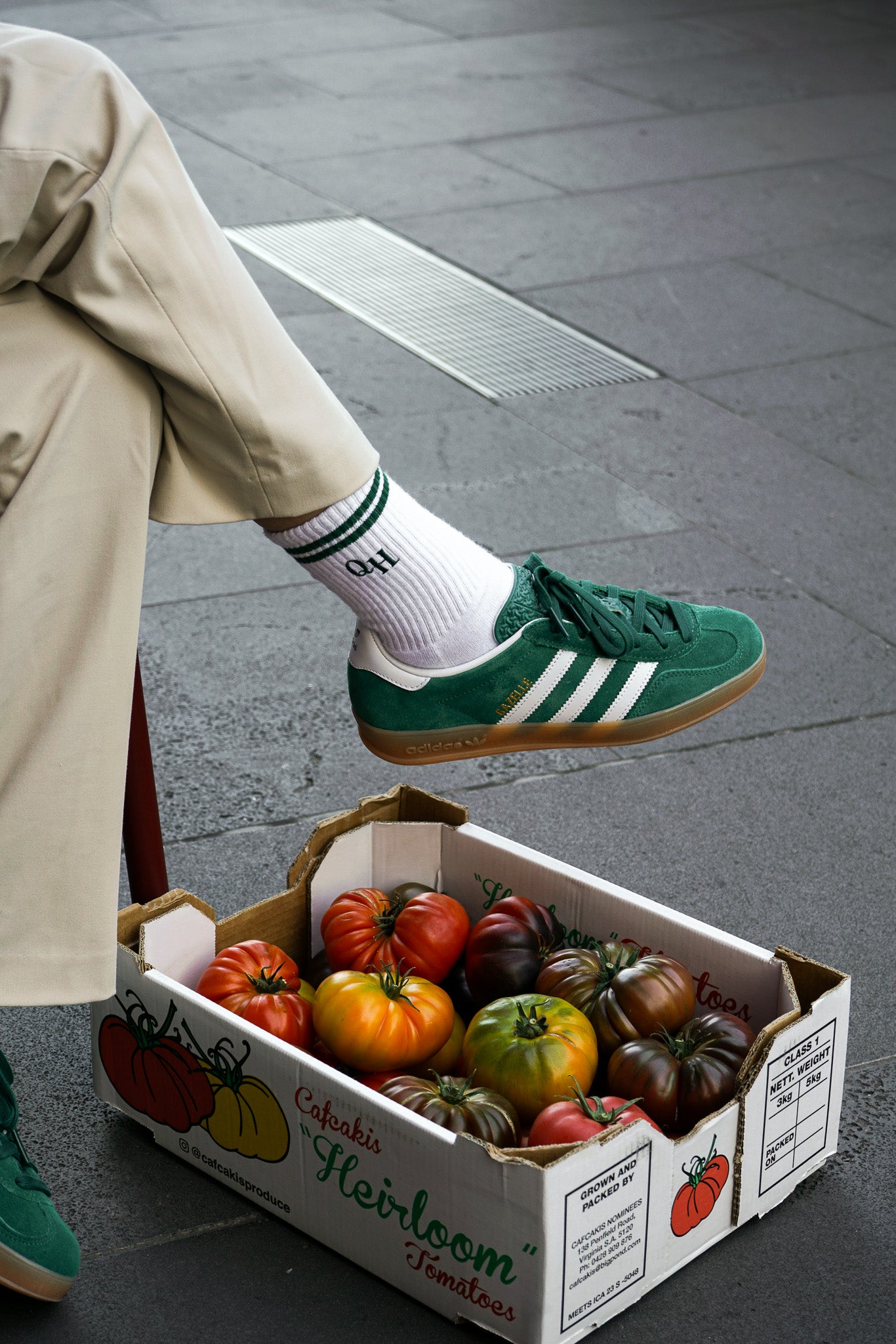 Queen's Harvest Cotton Socks