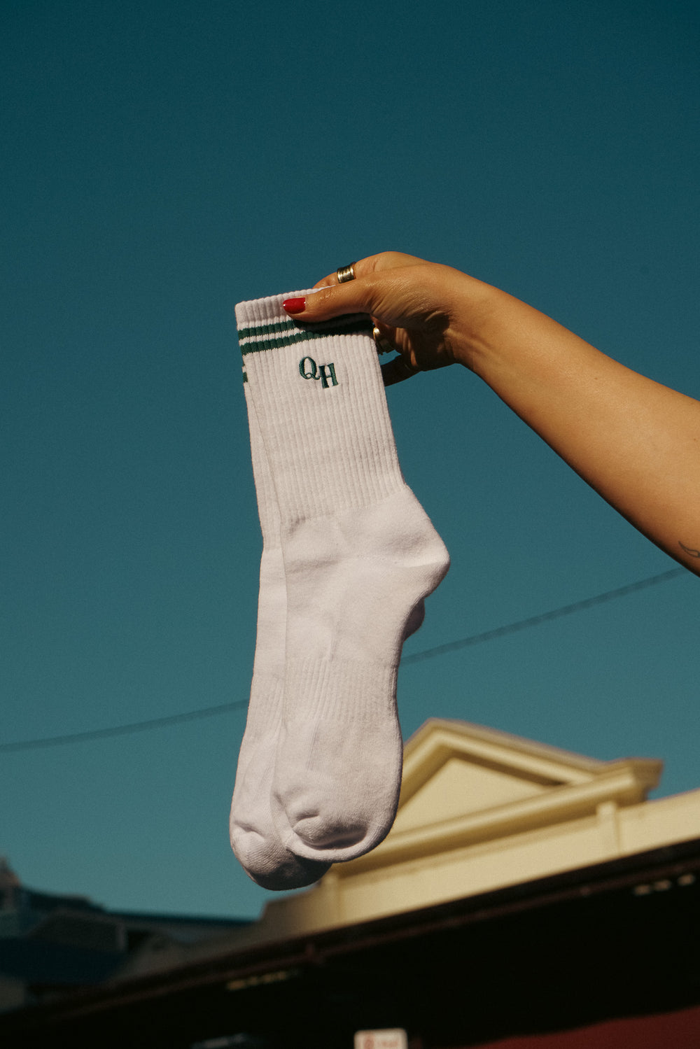 Queen's Harvest Cotton Socks